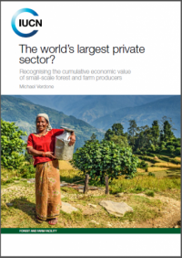The world’s largest private sector?: recognising the cumulative economic value of small-scale forest and farm producers